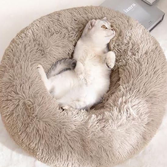 Un coussin à chat rond en peluche, rond et profond marron avec un chat blanc avec la queue grise allongé dedans.