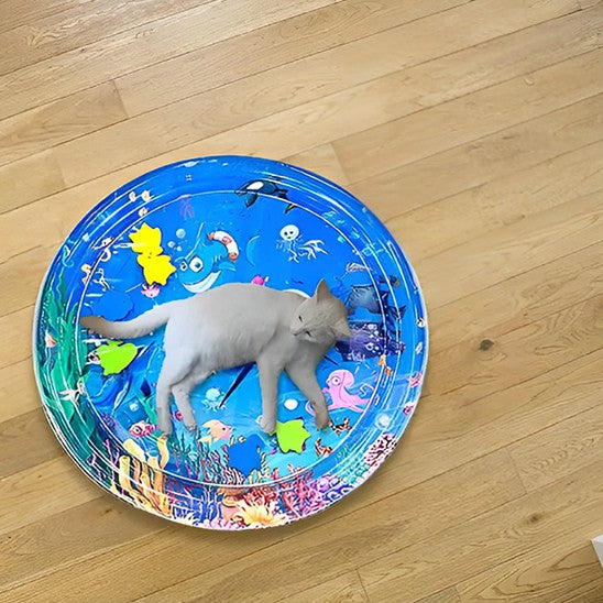Coussin à chat attractif avec des dessins de poissons et de ce qui concerne la mer avec un chat blanc allongé dessus.