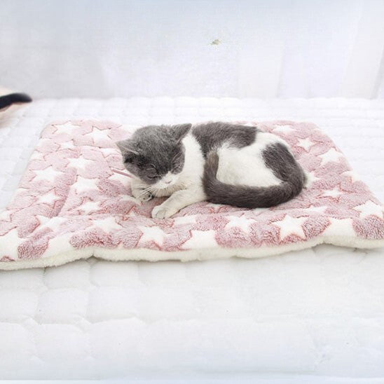 Coussin à chat rose rectangulaire en peluche douce et des motifs d'étoiles blanches et un chaton gris et blanc allongé dessus.