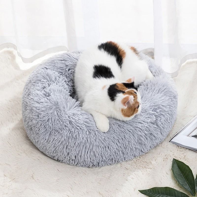 Un coussin Ă chat rond en peluche, rond et profond, gris avec un chat blanc avec des taches noires et brunes qui joue sur ce coussin.