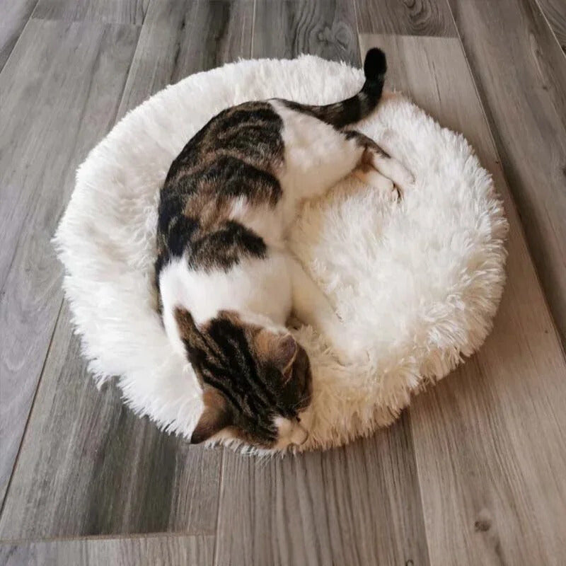 Coussin Chat-Rond