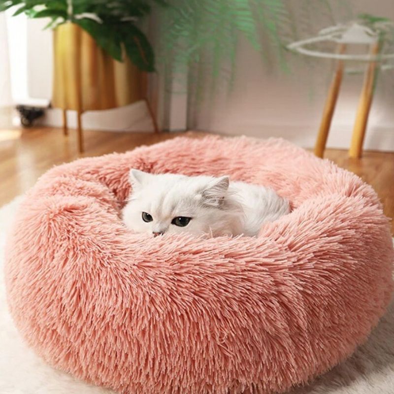 Coussin chat de couleur rose vers saumon en peluche douce avec un chat blanc assis dedans.