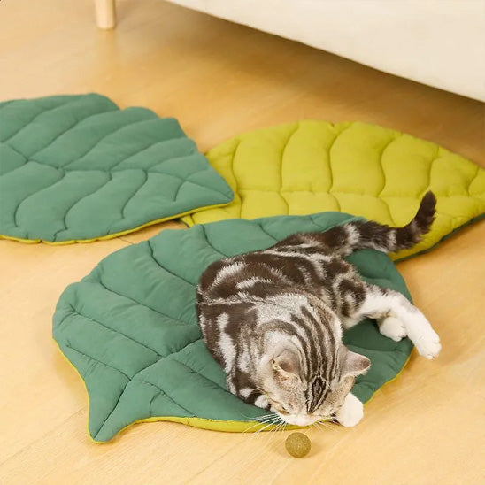 Coussin chat en forme de feuille d'arbre verte double-face avec un chat tigré assis dessus et qui joue avec une balle avec deux autres coussins mis de cÎté.