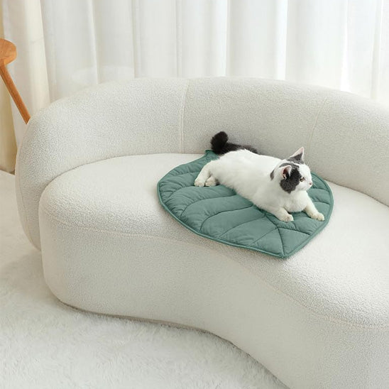 Coussin chat en forme de feuille d'arbre verte double-face avec un chat blanc allongé dessus sur un canapé blanc.