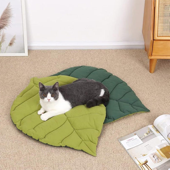 Coussin chat en forme de feuille d'arbre verte double-face avec un chat gris allongé sur la deuxiÚme face de couleur vert clair.