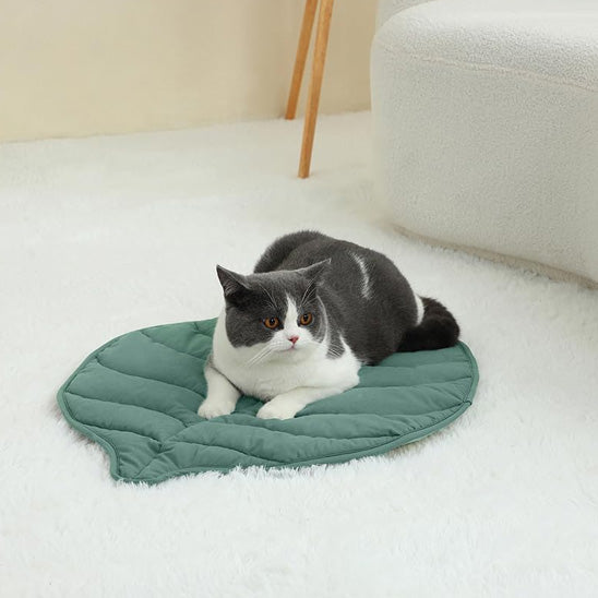 Coussin chat en forme de feuille d'arbre verte double-face avec un chat gris allongé dessus sur un tapis blanc.