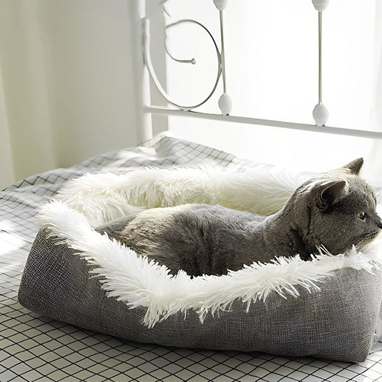 Coussin chat pliable gris avec peluche blanche plié avec un chat gris assis dedans sur un lit dans une chambre.