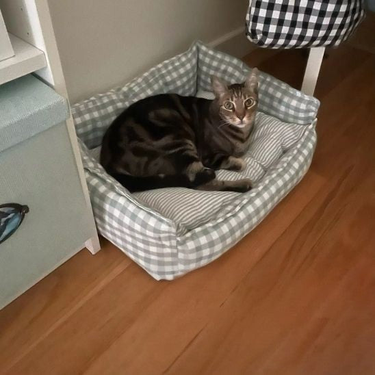 Coussin chat en forme de petit canapé à carreaux blancs et verts avec un chat marron assis dessus.