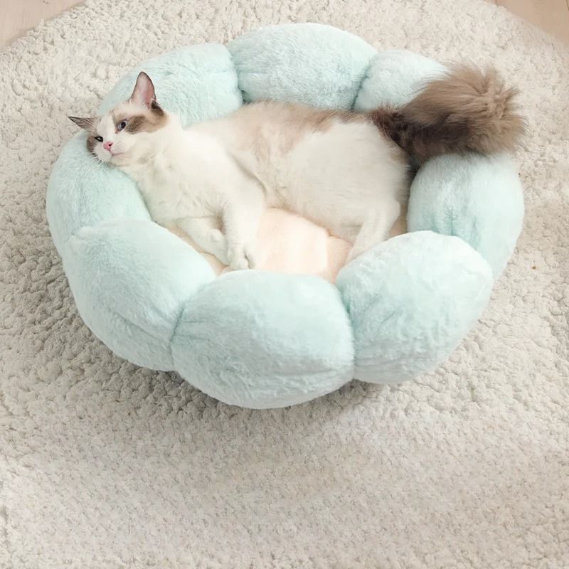 Un coussin chat en forme de marguerite vert avec un chat blanc et gris allongé dedans.