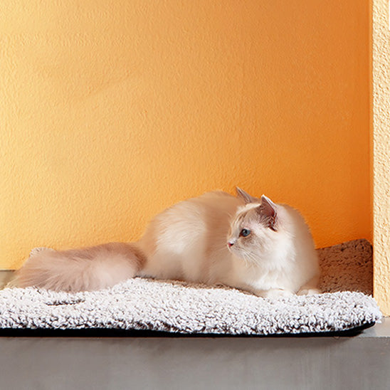 Coussin pour chat autochauffant rectangulaire gris avec un chat blanc assis dessus.