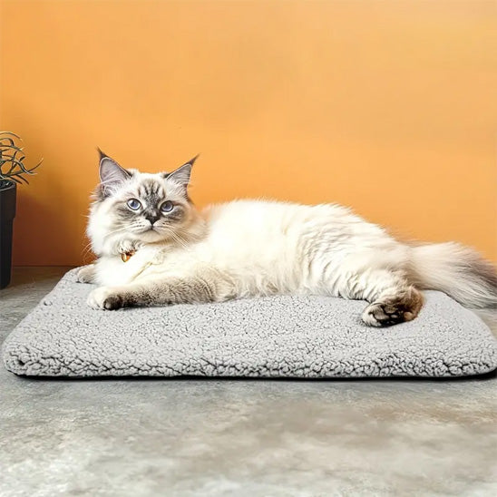 Coussin pour chat autochauffant rectangulaire gris avec un sacre de birmani allonge dessus.