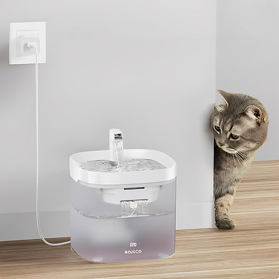 Une fontaine a eau chat automatique blanche et bien profonde en haut et transparente en bas avec un petit robinet et un chat gris qui regarde derriĂšre un mur.