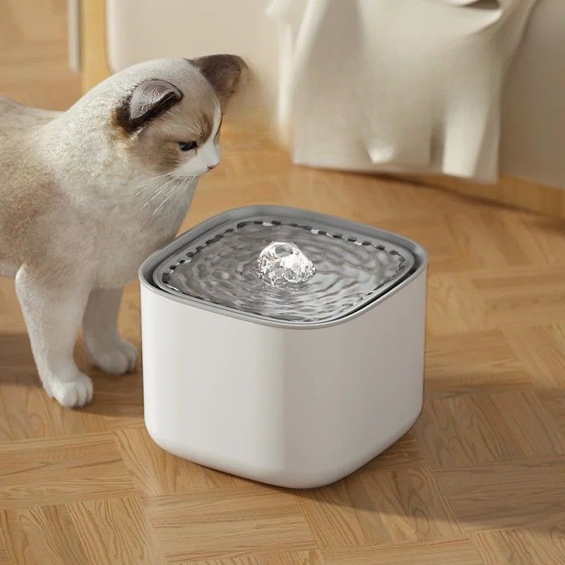 Une fontaine à eau chat en forme carré blanche et avec un chat blanc en train de s'approcher de cette fontaine.
