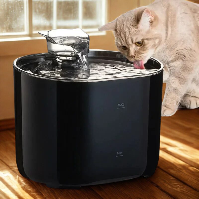 Une fontaine a eau pour chat noire avec un robinet en forme de tĂȘte de chat inclinĂ© vers le bas et un chat beige qui boit de cette fontaine.