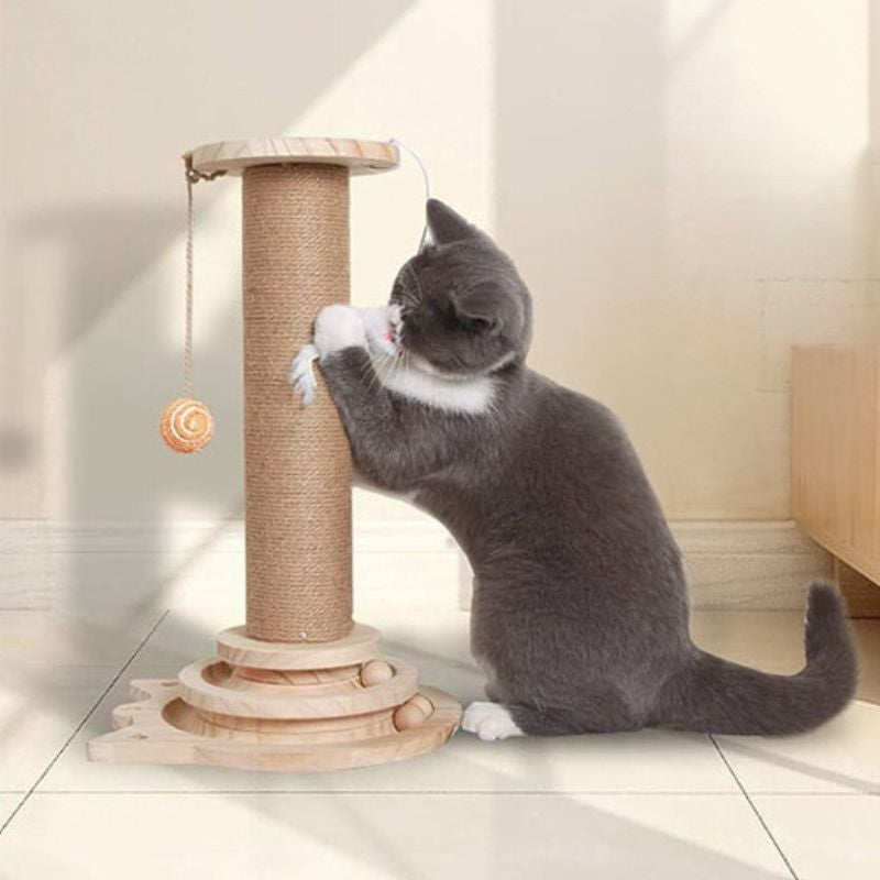 Grattoir chat en forme de petit arbre Ă chat, avec un chat gris qui fait ses griffes sur ce grattoir.