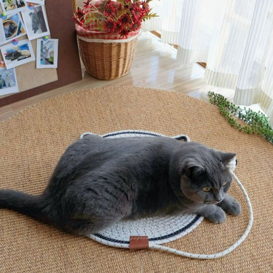 Un chat gris allongé sur un griffoir à chat en forme de tapis rond blanc avec un trait noir tout le tour et une balle intégrée en corde de coton.