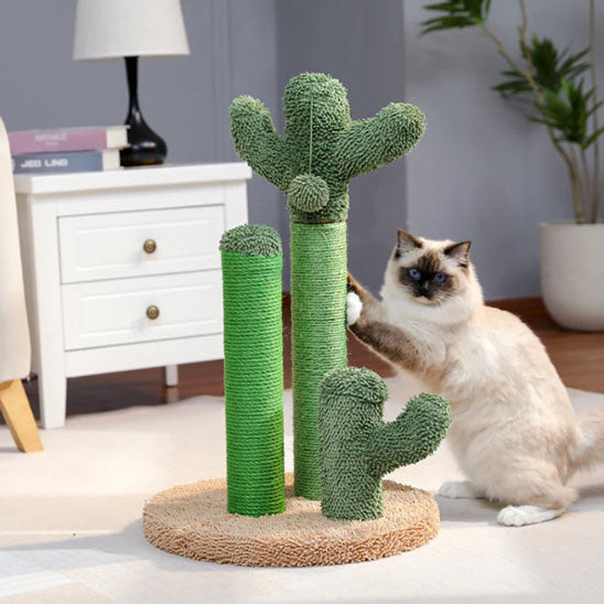 Griffoir chat en forme de cactus avec trois poteaux en sisal, une balle suspendue en peluche et une base marron avec un chat qui fait ses griffes sur le grand poteau et qui regarde.