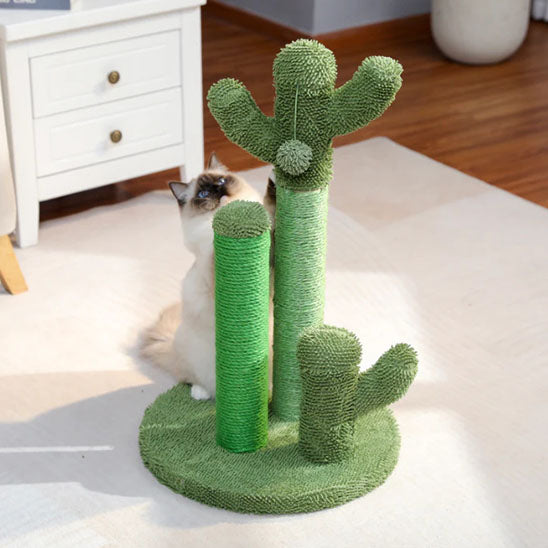 Griffoir chat en forme de cactus avec trois poteaux en sisal, une balle suspendue en peluche et une base verte avec un chat qui joue avec.