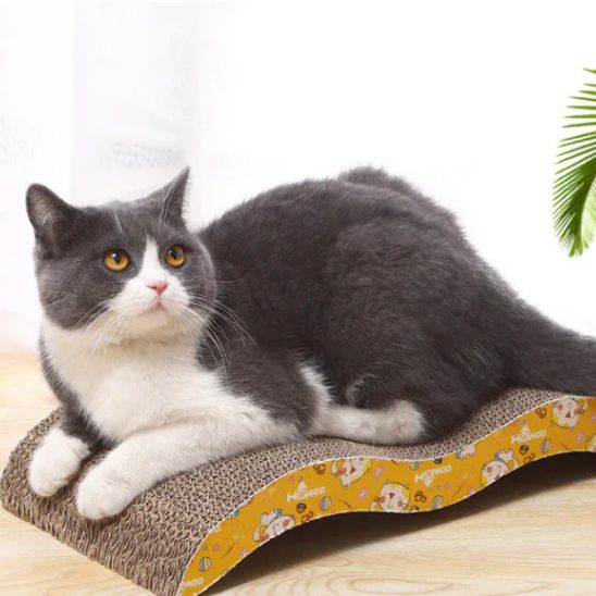 Un griffoir chat carton ondulé avec un ruban avec des motifs sur le coté et un british shorthair qui est allongé au dessus.