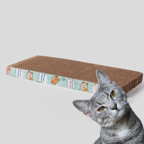 Griffoire chat en carton ondulé droit avec des bords bleus et des motifs des dessins animés.