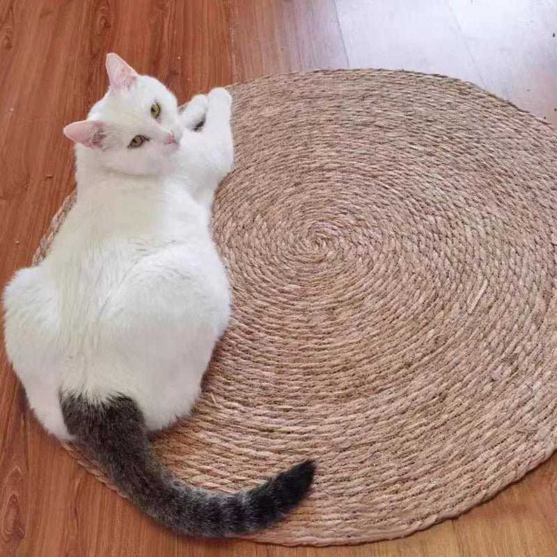 Un chat blanc qui est assis sur le cÎté d'un griffoire chat en forme de tapis rond