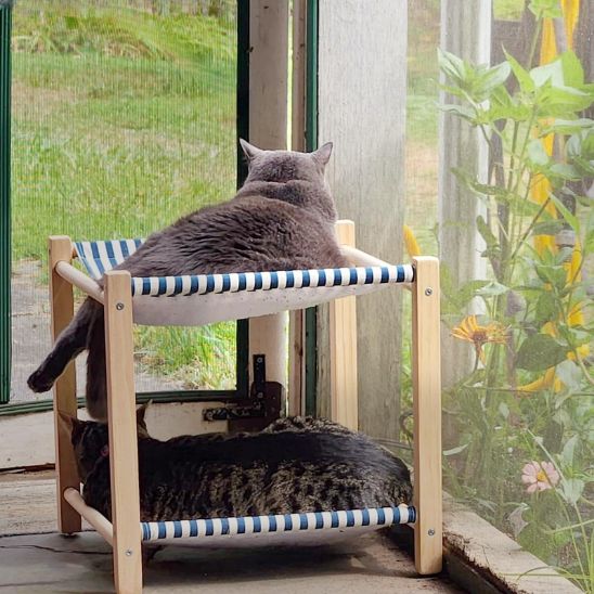 Un hamac à chat en forme de lit superposé en deux étages en bois et des sièges en toile à rayures bleue et blanc avec deux chats gris allongés un en haut et l'autre en bas de dos .