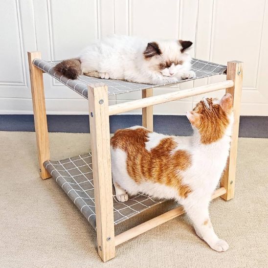 Un hamac à chat en forme de lit superposé en deux étages en bois et des sièges en toile à carreaux gris et blanc avec deux chats un ragdoll allongé en haut et l'autre blanc avec des taches rousses assis en bas.