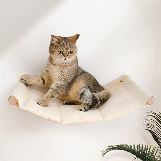 Hamac chat blanc collé au mur dans un salon et un chat gris assis dessus.