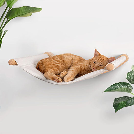 Hamac chat blanc collé au mur dans un salon et un chat roux allongé dessus confortablement.