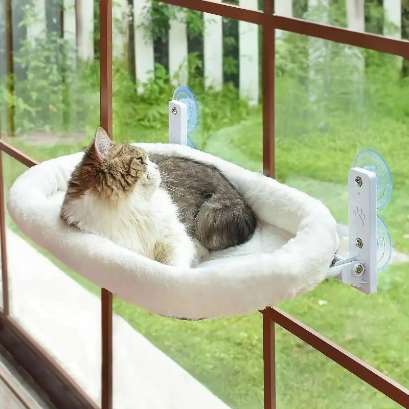 Un chat moitié blanc moitié gris assis sur un hamac chat fenetre blanc attaché avec des ventouses.
