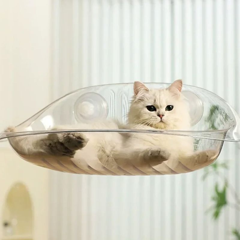 Hamac chat fenetre transparent collĂ© avec des ventouses sur une fenĂȘtre avec un chat blanc allongĂ© dedans.