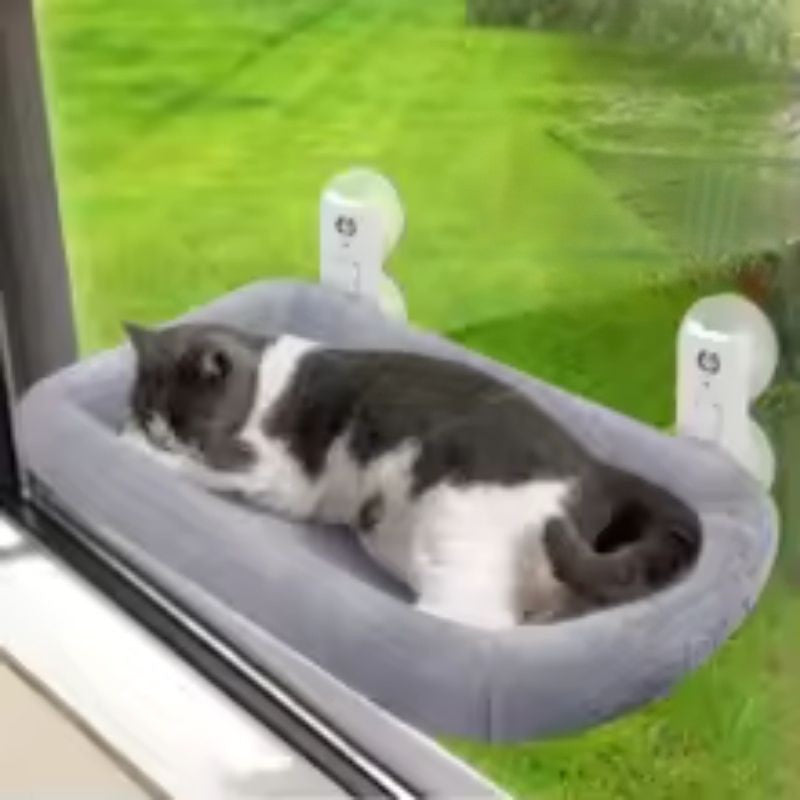 Un chat moitié blanc moitié noir qui dort sur un hamac chat fenetre gris attaché avec des ventouses.