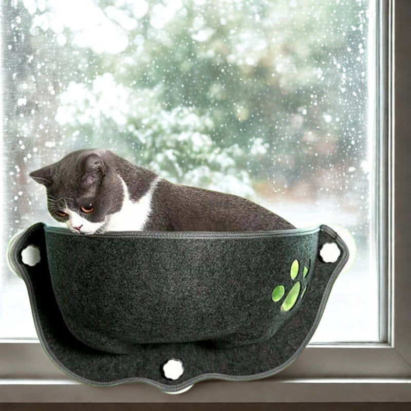 Un snowshoe qui est assis dans diffĂ©rentes positions sur un hamac chat en feutre gris avec une empreinte de patte de chat comme motif fixĂ© sur une fenĂȘtre.