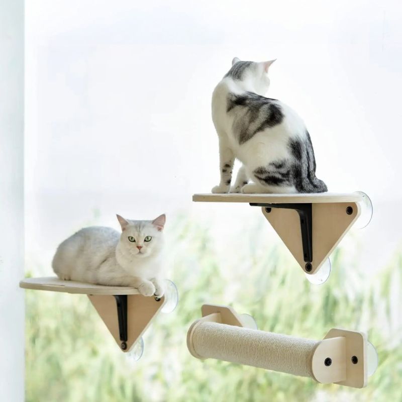 Hamac pour chat fenĂȘtre deux planches et un griffoir collĂ©s a une fenĂȘtre avec deux chats assis sur les deux planches.