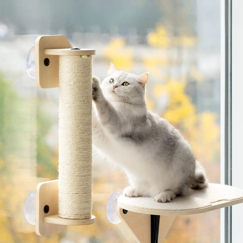 Hamac pour chat fenĂȘtre une planche et un griffoir collĂ©s Ă une fenĂȘtre avec un chat qui fait ses griffes.