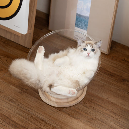 Lit chat en forme de capsule spatiale transparent avec une base en bois et des boules intégrées dedans et un chat blanc assis sur ce lit.