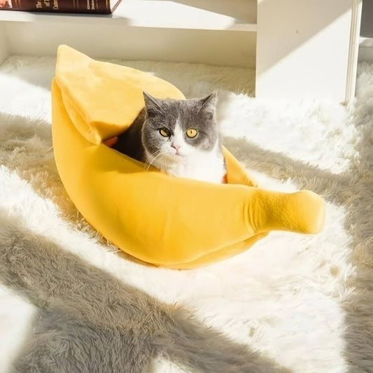 Lit pour chat en forme de banane jaune avec un chaton gris assis dedans.