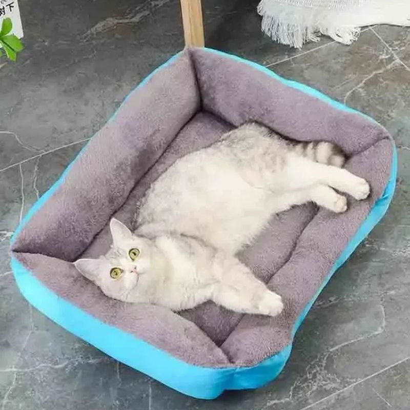 Lit pour chat rectangulaire bleu et peluche grise à l'intérieur avec un chat blanc allongé dedans.
