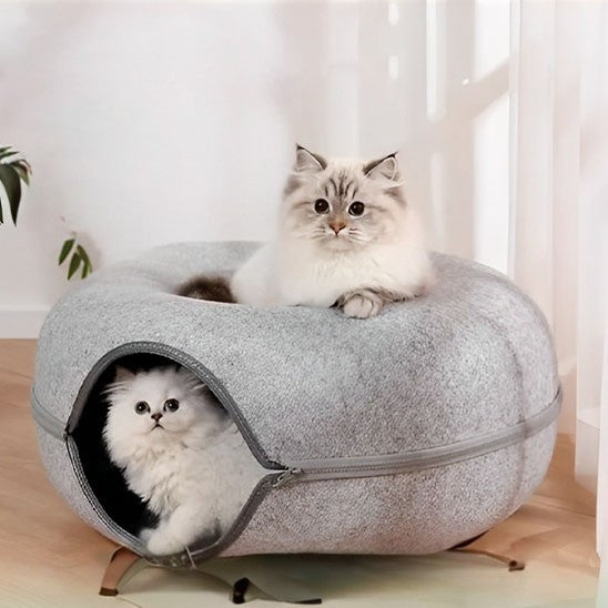 Lit pour chat en forme de donut gris clair avec deux chatons blancs, un dedans, et l'autre assis dessus.