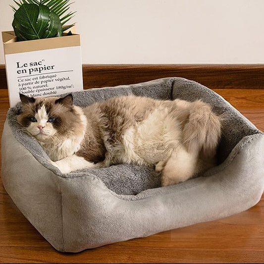 Lit pour chat en forme de canapé rectangulaire gris avec un chat marron allongé dessus.