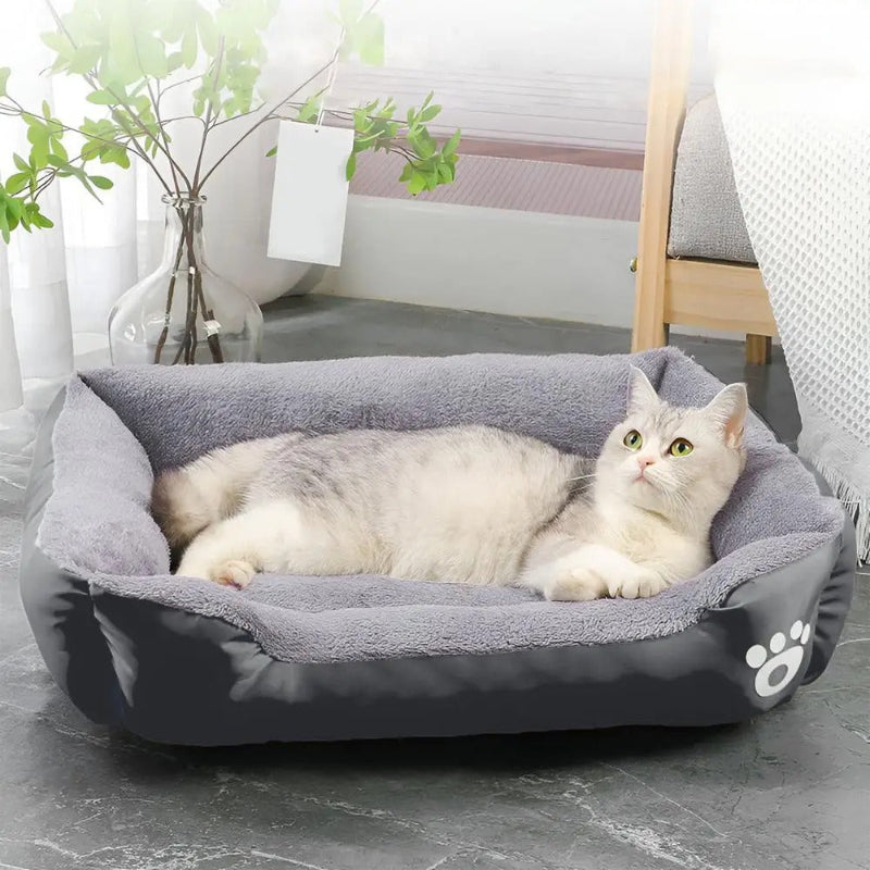 Lit pour chat rectangulaire noir et peluche grise à l'intérieur avec un chat gris assis dessus.