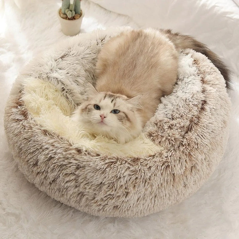 Lit pour chat en forme de petite grotte semi-fermée en peluche café avec un chat blanc assis dessus.