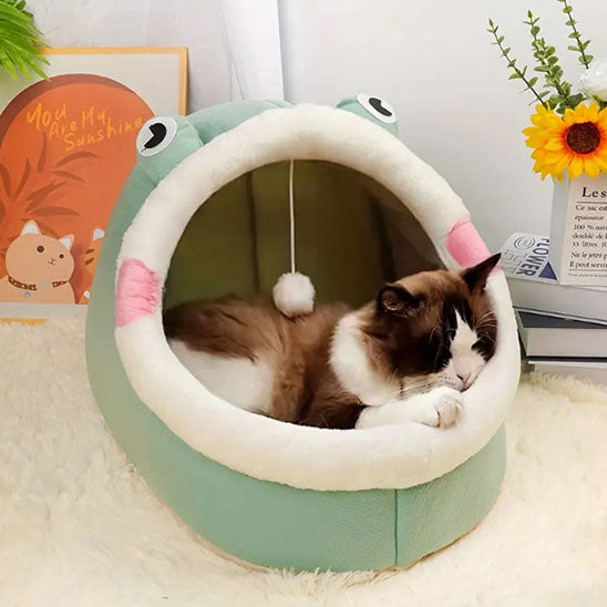 Niche chat forme grenouille verte avec un chat brun assis dedans.