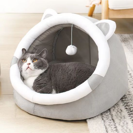 Niche chat grise avec des oreilles d'un ourson blanches et une balle suspendu avec un british shorthair gris allongé dedans.