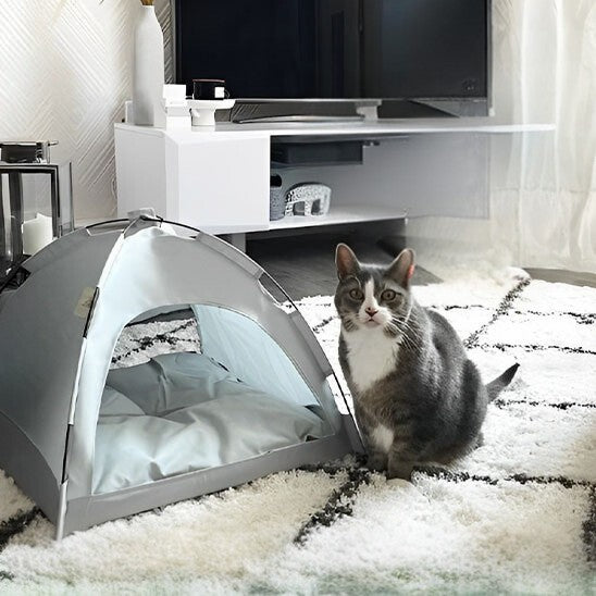Niche chat en forme de tente grise avec un chat gris assis Ă cĂŽtĂ© sur un tapis de chambre noir et blanc et en attachement une image d'un chat gris assis dans une mĂȘme niche verte.