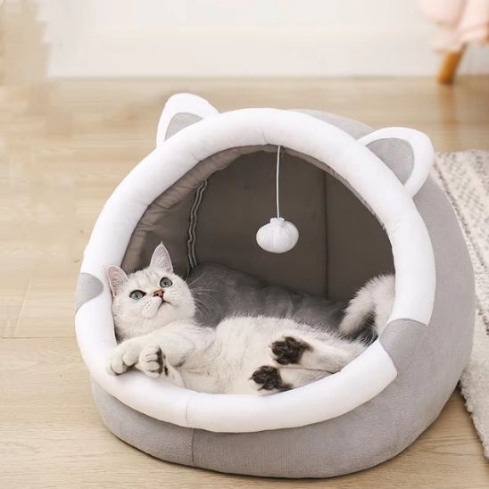 Niche chat grise avec des oreilles d'un ourson blanches et une balle suspendu avec un british shorthair blanc allongé dedans.