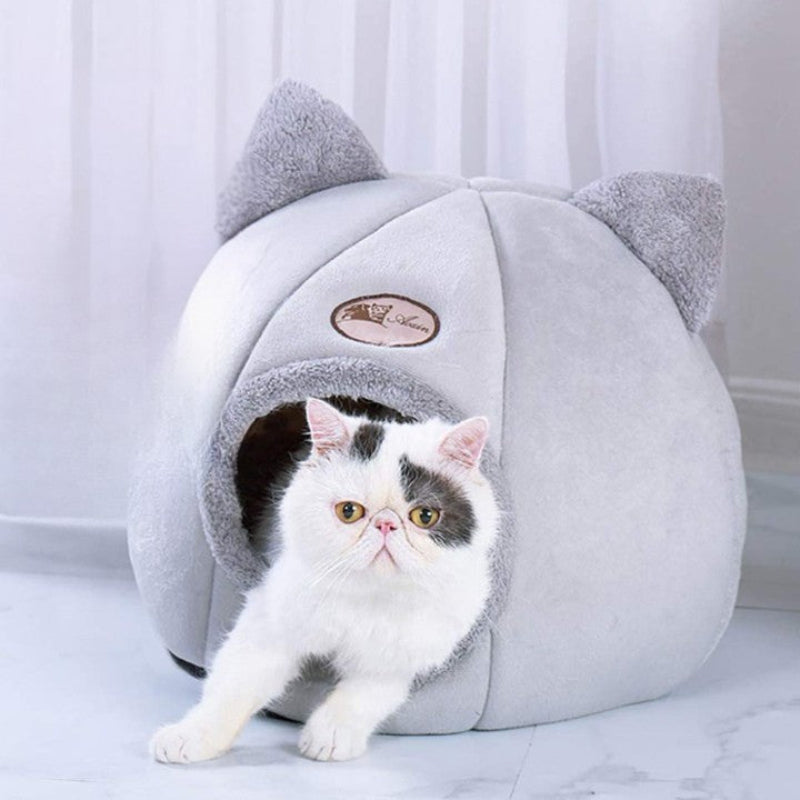 Niche pour chat ronde grise avec deux oreilles dessus et un chat blanc sur le oint de sortir de cette niche.