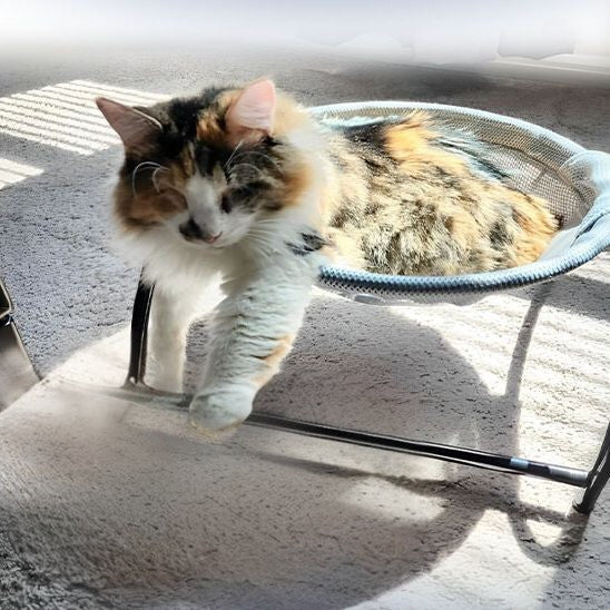 Panier pour chat gris en forme de hamac de salon avec un chat noir et marron assis dedans.