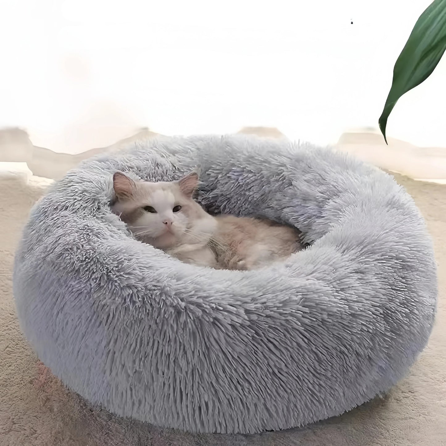 Coussin Chat | Topconfort™