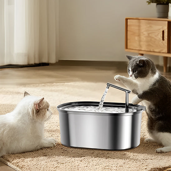 Une fontaine à eau chat en acier inoxydable large avec un robinet et un sacré de birmanie assis de côté et un bfritish shorthair debout pour aller  boire de cette fontaine.
